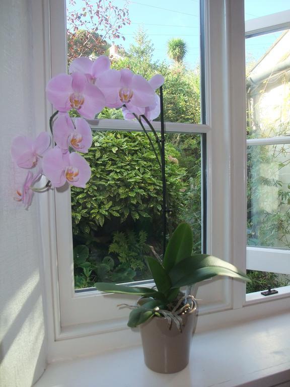 لينتون The Fernery B&B الغرفة الصورة